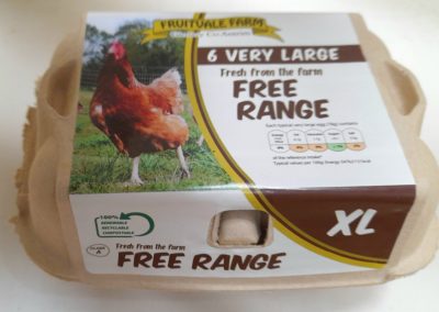 Free Range Very Large 6 pack