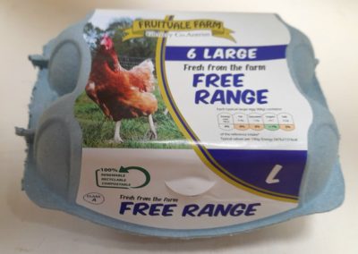 Free Range Large 6 pack